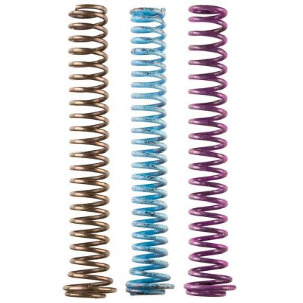 Moroso Ensemble de ressorts de pompe à huile de remplacement 3 pièces (pour 22163/22164/Tri-Lobe externe/carter sec)