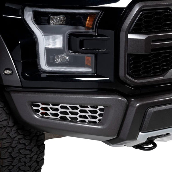 Putco Calandre — 2018-2020 Ford F-150 (82168)