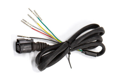 Haltech Faisceau de sonde large bande pour ECU enfichables Elite PRO