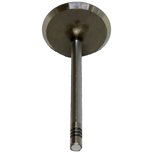 Crown Automotive Intake Valve — for select Jeep vehicles (53021990AA)