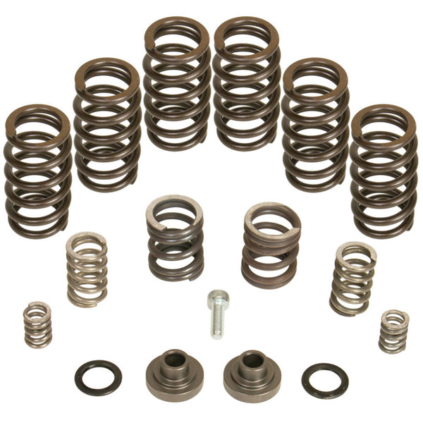 BD Diesel Ensemble de ressorts de régulateur 4000 tr/min - 1994-1998 Dodge 12 soupapes/pompe P7100