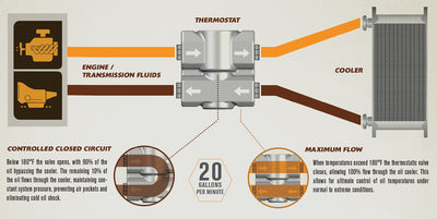 Derale Fluid Control Thermostat with Mount Brackets, 1/2" NPT