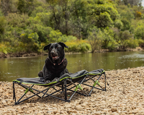 Ironman 4x4 Quick Fold Dog Bed with Padded Mat (XL) (IPET0034)