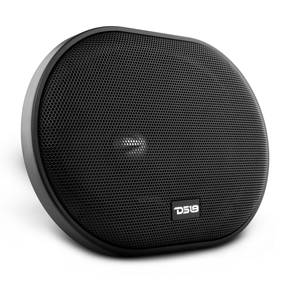 DS18 6x9in 250 Watts RMS 4 ohm Neodymium Full Range Loudspeaker