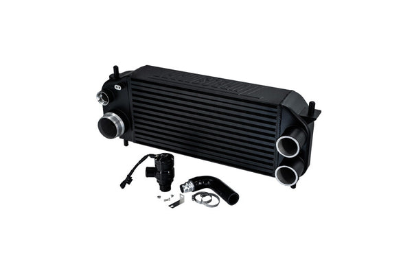 Turbosmart Refroidisseur intermédiaire performance avec BOV à recirculation Ford F-150 2.7L/3.5L Ecoboost - noir