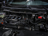 AFE Strut Braces