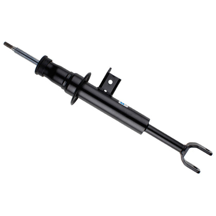 Suspension Strut Assembly (19-273754)