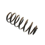 Bilstein Coil Springs (BIL199021) — Blue Powder Coat