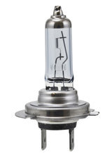 HELLA Halogen Bulb