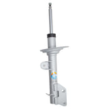 Suspension Strut Assembly (22-348227)