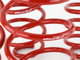 SK Lowering Springs