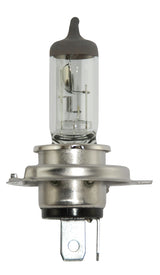 HELLA Halogen Bulb