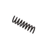 Coil Spring (36-198375)
