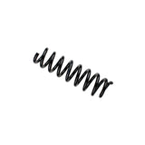 Coil Spring (36-266555)