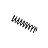Coil Spring (36-273928)