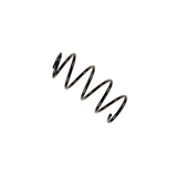 Coil Spring (37-161255)