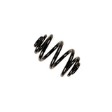 Coil Spring (38-236198)