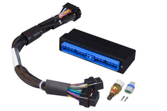 Haltech Faisceau adaptateur prêt-à-brancher Elite 1000/1500