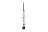 EIB Pro-Truck Shocks