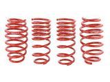 SK Lowering Springs