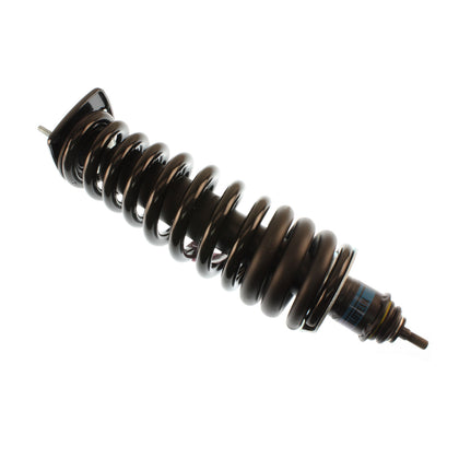 Bilstein Suspension Strut Assembly (41173435)