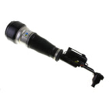 Air Suspension Strut (44-110475)