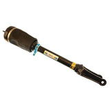 Air Suspension Strut (44-165062)
