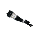 Air Suspension Strut (44-239961)