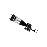 Air Suspension Strut (44-251598)