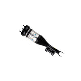 Air Suspension Strut (44-251680)
