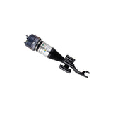 Air Suspension Strut (44-262891)