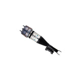 Air Suspension Strut (44-286644)