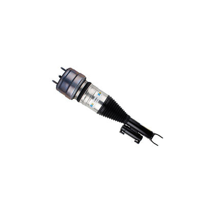 Air Suspension Strut (44-286644)