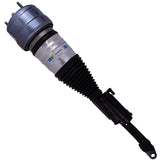 Air Suspension Strut (44-289294)