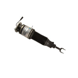 Air Suspension Strut (45-260452)
