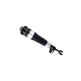 Air Suspension Strut (45-295355)