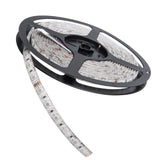 ORL LED Strips - Interior