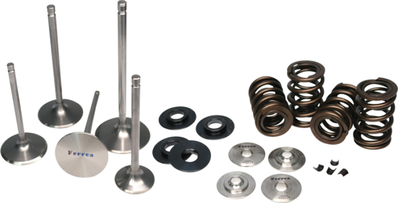 Ferrea Ensemble de ressorts doubles Honda S2000
