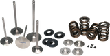 FER Valve Spring Kits