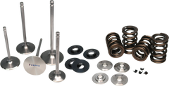 Ferrea Ensemble de ressorts simples Honda Type-R K20C1-Turbo