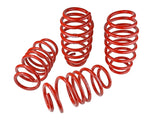 SK Lowering Springs