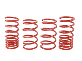 SK Lowering Springs