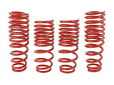 SK Lowering Springs