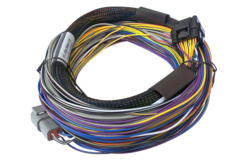 Haltech Faisceau universel à câbler de base Elite 750 - 2.5m (8 pi)