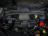 AFE Strut Braces