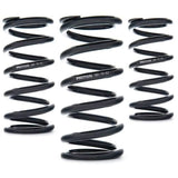 AST Linear Race Springs