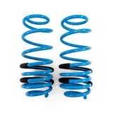 BX Lowering Springs