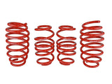 SK Lowering Springs