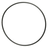 Motive Gear Differential Pinion Support O-Ring | OEM Gasket & Seal | Commercial Truck (B7A4669B)