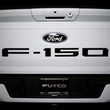Putco 2017-2019 F250/F350/2017-2018 F450 Super Duty Stamped Stainless Steel Tailgate/Rear Ford Lettering Emblems